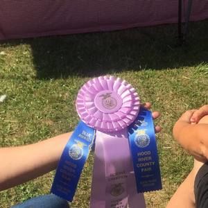 Meet your Posher, Melinda